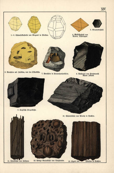 Mineral Varieties Including Sulphur  Mellite  Amber And Coal Poster Print By ® Florilegius / Mary Evans - Item # VARMEL10941151