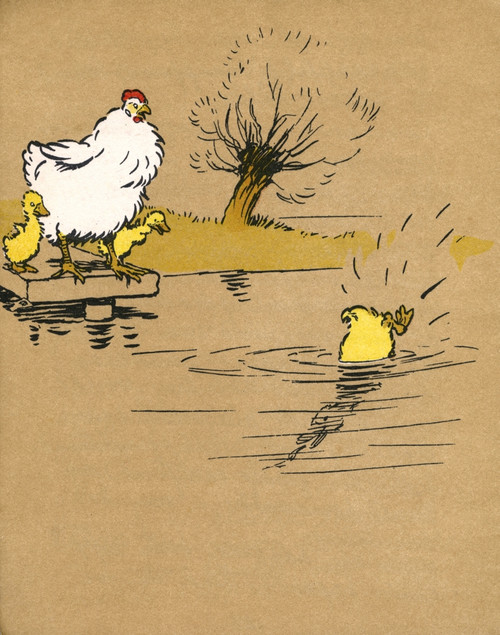 Illustration By Cecil Aldin  Ugly Duckling Poster Print By Mary Evans Picture Library - Item # VARMEL10956833