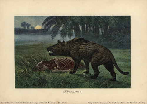 Hyaenodon  Extinct Genus Of Carnivorous Creodonts Poster Print By ® Florilegius / Mary Evans - Item # VARMEL10937728