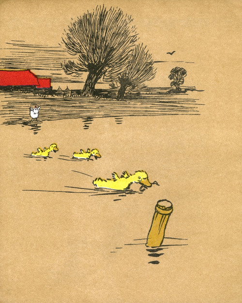 Illustration By Cecil Aldin  Ugly Duckling Poster Print By Mary Evans Picture Library - Item # VARMEL10956834
