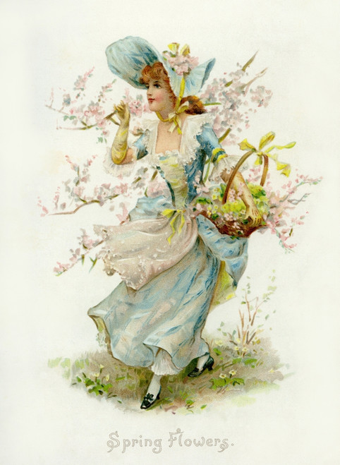 Spring Flowers Poster Print By Mary Evans Picture Library/Peter & Dawn Cope Collection - Item # VARMEL10554499