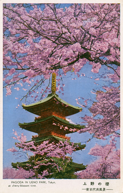 Pagoda In Ueno Park - Tokyo  Japan Poster Print By Mary Evans / Grenville Collins Postcard Collection - Item # VARMEL11017965
