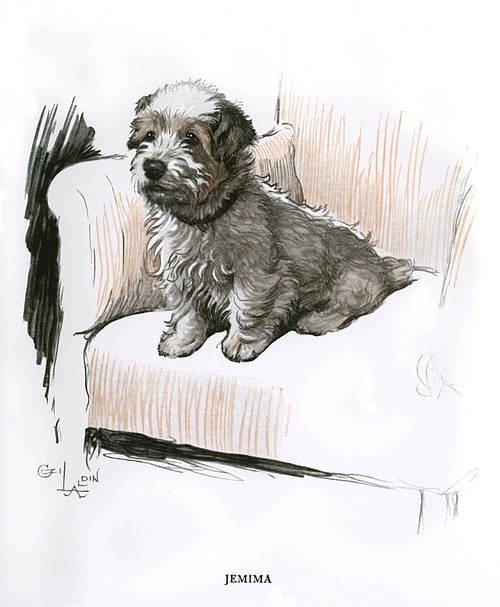 Sealyham Terrier Sitting In An Armchair Poster Print By Mary Evans Picture Library - Item # VARMEL10957344