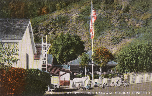 Baldwin Home  Leper Colony  Kalawao Molokai  Honolulu Poster Print By Mary Evans / Grenville Collins Postcard Collection - Item # VARMEL10797946