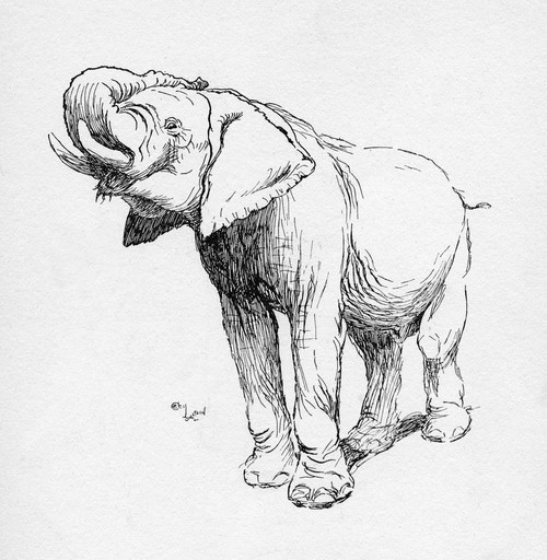 Illustration By Cecil Aldin  The Elephant Poster Print By Mary Evans Picture Library - Item # VARMEL10956837