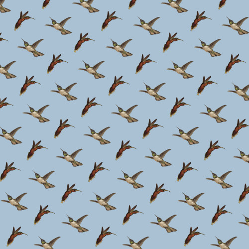Repeating Pattern - Birds Poster Print By ® Mary Evans Picture Library - Item # VARMEL11094627