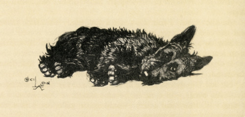 Illustration By Cecil Aldin  Scots Terrier Poster Print By Mary Evans Picture Library - Item # VARMEL10980268