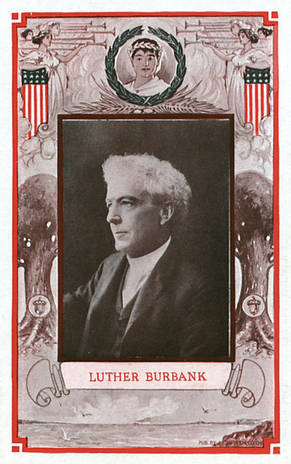 Luther Burbank - American Botanist And Horticulturist Poster Print By Mary Evans / Grenville Collins Postcard Collection - Item # VARMEL10920707 Luther Burbank - American Botanist And Horticulturist Poster Print By Mary Evans / Grenville Collins Postcard Collection - Item # VARMEL10920707