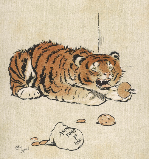 Tiger Cub In Zoo Aldin Poster Print By Mary Evans Picture Library - Item # VARMEL10225910