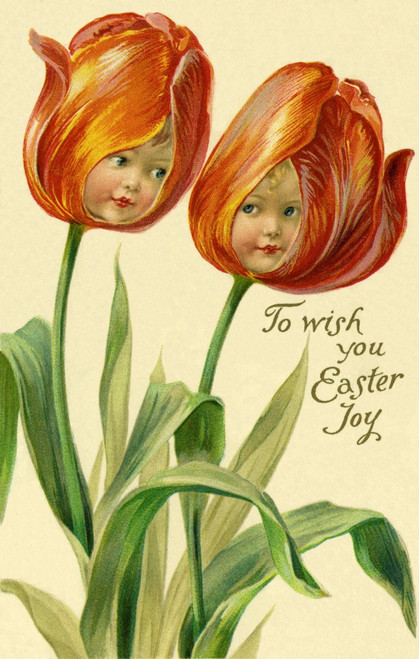 Tulip Flower Faces Poster Print By Mary Evans Picture Library / Peter & Dawn Cope Collection - Item # VARMEL10694222
