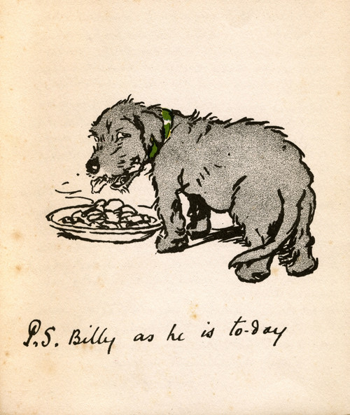 Illustration By Cecil Aldin  Black Billy Poster Print By Mary Evans Picture Library - Item # VARMEL10956825
