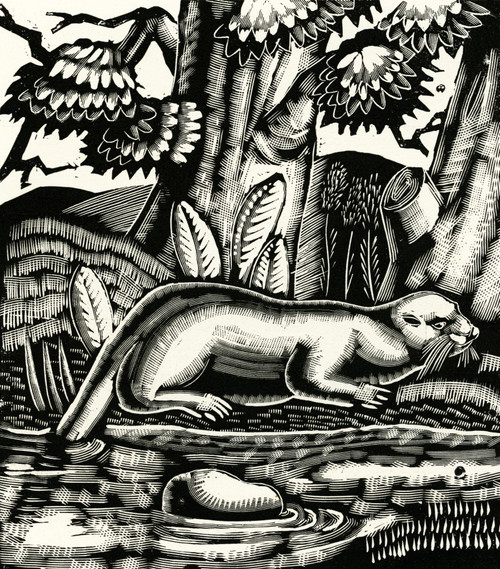 Tarka The Otter Poster Print By Mary Evans Picture Library/Peter & Dawn Cope Collection - Item # VARMEL10582415