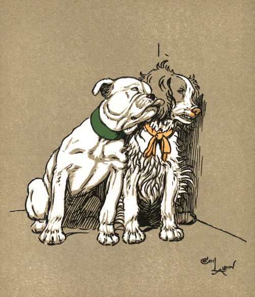 Illustration By Cecil Aldin  Puppy Tails Poster Print By Mary Evans Picture Library - Item # VARMEL10981423