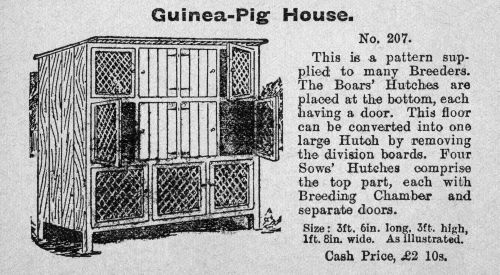 Guinea-Pig House Poster Print By Mary Evans Picture Library/Peter & Dawn Cope Collection - Item # VARMEL10821492