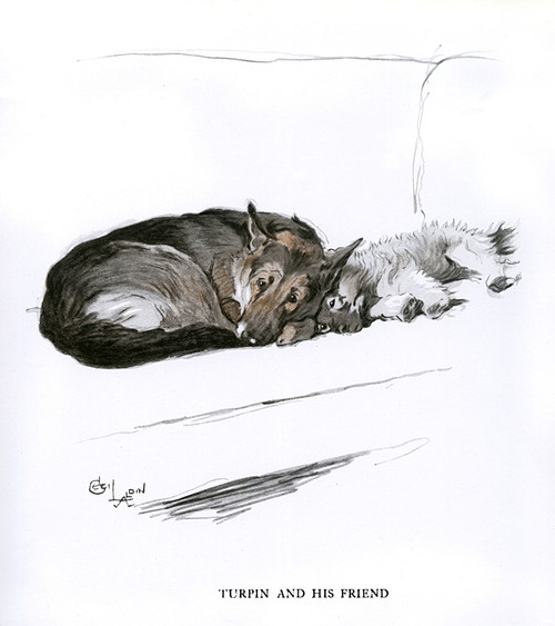 Alsatian And Sealyham Terrier On A Sofa Poster Print By Mary Evans Picture Library - Item # VARMEL10957373