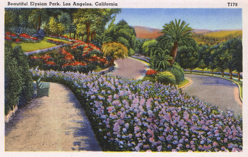 Elysian Park  Los Angeles  California  Usa Poster Print By Mary Evans / Pharcide - Item # VARMEL11046148