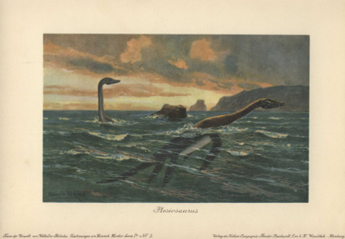 Plesiosaurus  Large Marine Sauropterygian Reptileà Poster Print By ® Florilegius / Mary Evans - Item # VARMEL10937724