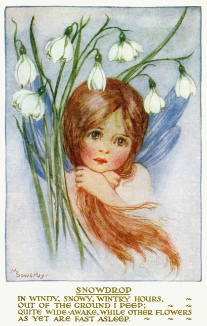 Snowdrop Poster Print By Mary Evans Picture Library/Peter & Dawn Cope Collection - Item # VARMEL10982040