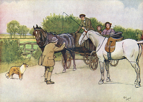 Illustration  Black Beauty Poster Print By Mary Evans Picture Library - Item # VARMEL10956735