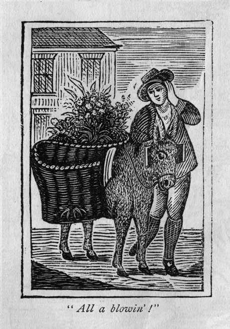 Flower Seller Poster Print By Mary Evans Picture Library/Peter & Dawn Cope Collection - Item # VARMEL10821530