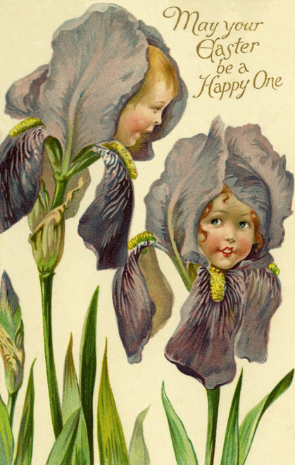 Iris Flower Faces Poster Print By Mary Evans Picture Library / Peter & Dawn Cope Collection - Item # VARMEL10694217