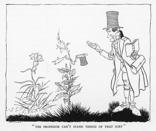 Little Ida'S Flowers Poster Print By Mary Evans Picture Library/Arthur Rackham - Item # VARMEL10133904