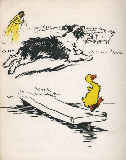 Illustration By Cecil Aldin  Ugly Duckling Poster Print By Mary Evans Picture Library - Item # VARMEL10956831