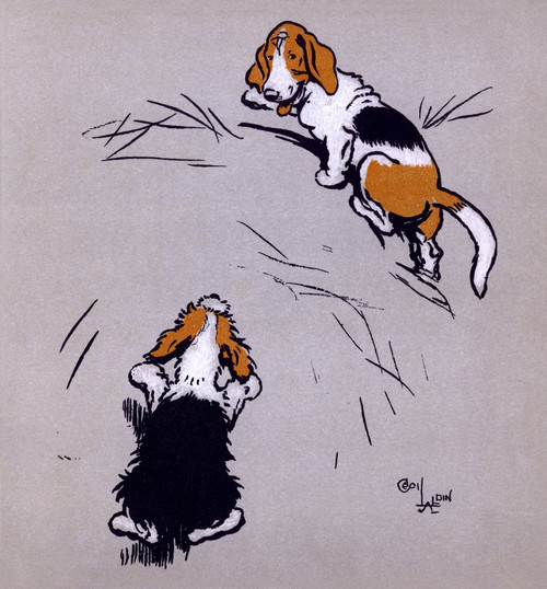 Illustration By Cecil Aldin  The Farmyard Puppies Poster Print By Mary Evans Picture Library - Item # VARMEL10981103