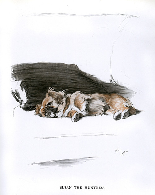 Pekingese Dog Lying On A Sofa Poster Print By Mary Evans Picture Library - Item # VARMEL10957374