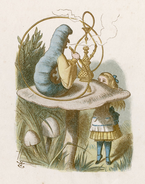 Carroll/Alice/Caterpilla Poster Print By Mary Evans Picture Library - Item # VARMEL10013089
