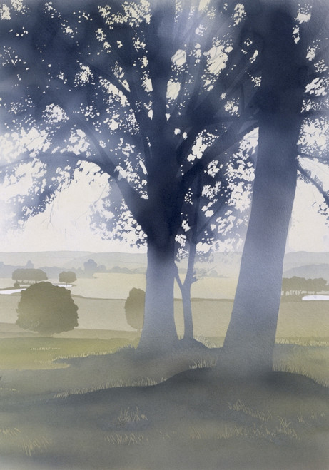 Light Through The Trees Poster Print By Malcolm Greensmith ® Adrian Bradbury/Mary Evans - Item # VARMEL10267087