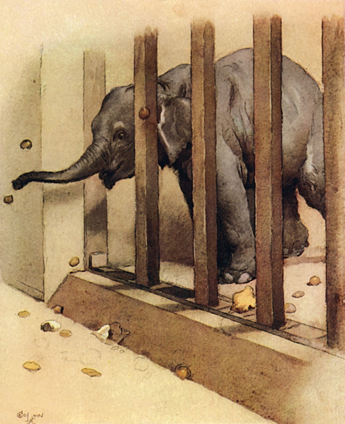 Illustration By Cecil Aldin  The Elephant Poster Print By Mary Evans Picture Library - Item # VARMEL10956836