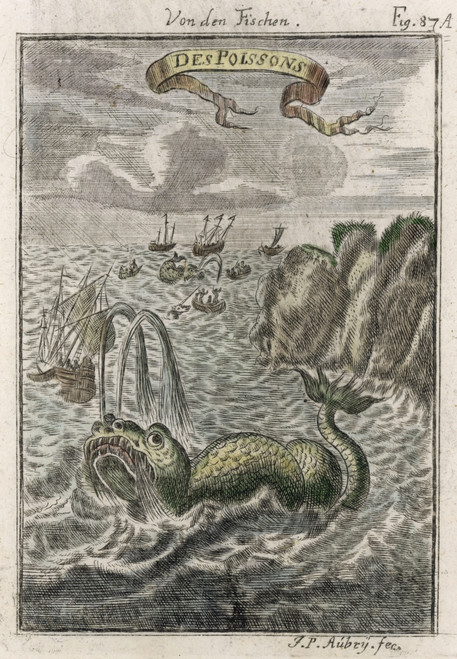 Whaling On The Grand Banks Off  Newfoundland Poster Print By Mary Evans Picture Library - Item # VARMEL10002281