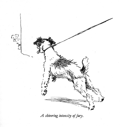 Illustration Of A Sealyham Terrier By Cecil Aldin Poster Print By Mary Evans Picture Library - Item # VARMEL10957501