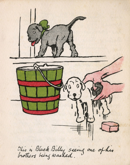 Illustration By Cecil Aldin  Black Billy Poster Print By Mary Evans Picture Library - Item # VARMEL10956818