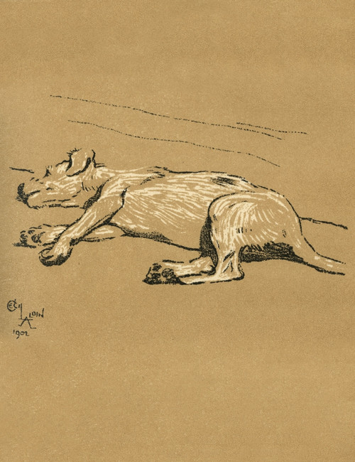 Illustration By Cecil Aldin  A Dog Day Poster Print By Mary Evans Picture Library - Item # VARMEL10978533