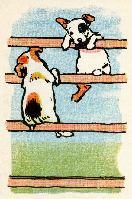 Illustration By Cecil Aldin  Stories From Puppyland Poster Print By Mary Evans Picture Library - Item # VARMEL10982204