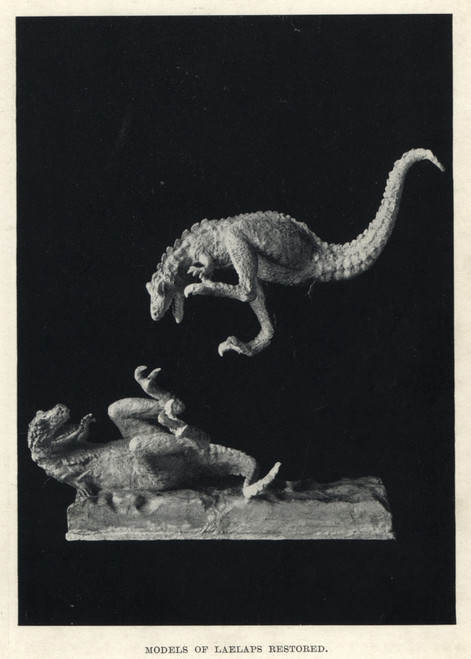 Dryptosaurus Aquilunguis Fighting Poster Print By ® Florilegius / Mary Evans - Item # VARMEL10936642