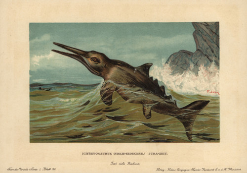 Ichthyosaurus Communis  Extinct Nektonic Carnivoreà Poster Print By ® Florilegius / Mary Evans - Item # VARMEL10937760