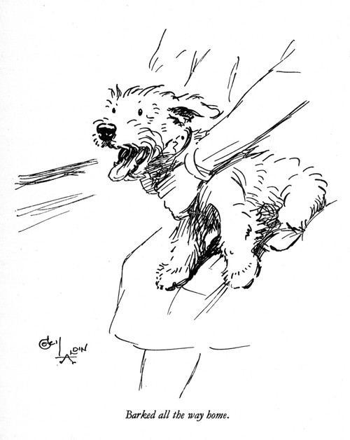 Illustration Of A Sealyham Terrier By Cecil Aldin Poster Print By Mary Evans Picture Library - Item # VARMEL10957503