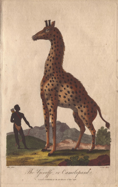 Giraffe Or Camelopard  Towering Over A Nativeà Poster Print By ® Florilegius / Mary Evans - Item # VARMEL10941196