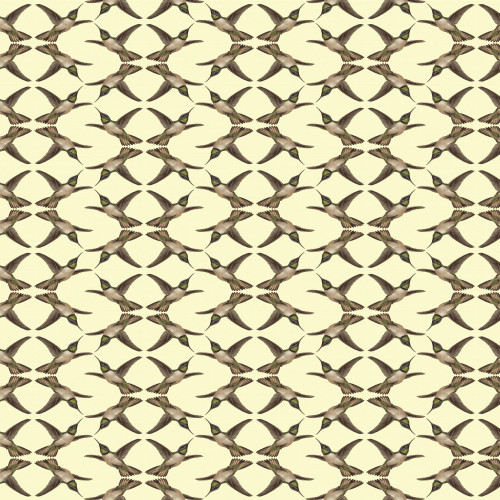 Repeating Pattern - Hummingbirds Poster Print By ® Mary Evans Picture Library - Item # VARMEL11092986