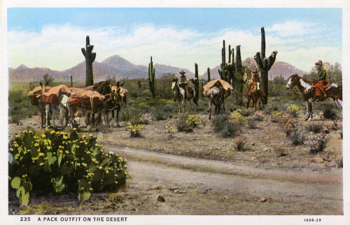 A 'Pack Outfit' In The Desert - Arizona  Usa Poster Print By Mary Evans / Grenville Collins Postcard Collection - Item # VARMEL10720142