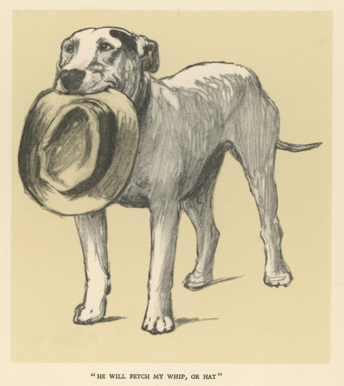 Illustration By Cecil Aldin  A Bull Terrier With A Hat Poster Print By Mary Evans Picture Library - Item # VARMEL10178458