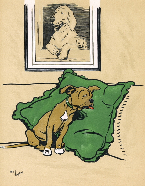 Mongrel Puppy In A State Of Shock Poster Print By Mary Evans Picture Library - Item # VARMEL10956537