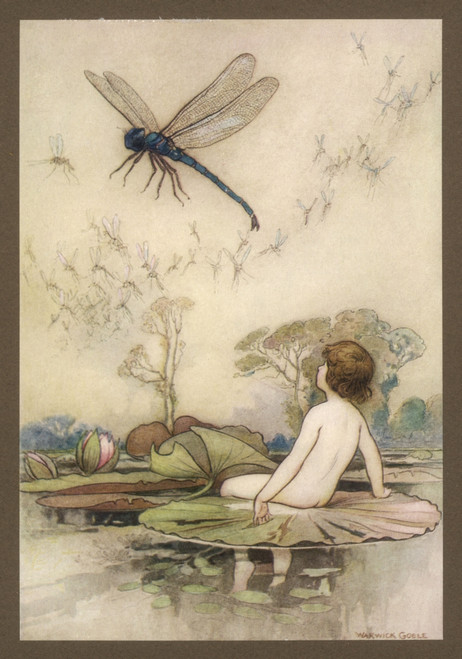 Tom/Water Babies/1909 Poster Print By Mary Evans Picture Library - Item # VARMEL10017039