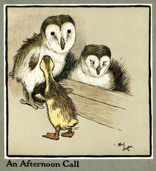 Master Quack The Duckling Meets Two Owls Poster Print By Mary Evans Picture Library - Item # VARMEL10644919