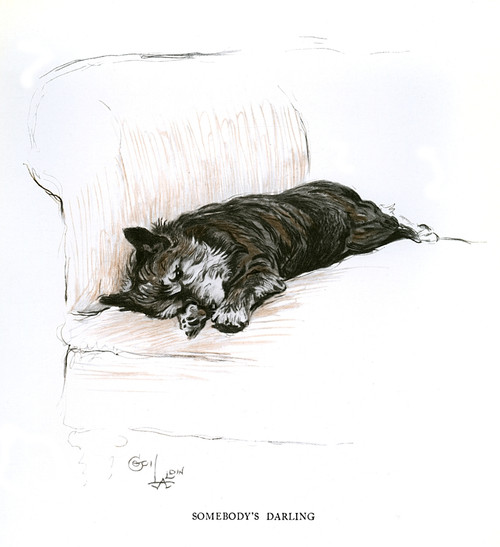Terrier Lying On A Sofa Poster Print By Mary Evans Picture Library - Item # VARMEL10957381
