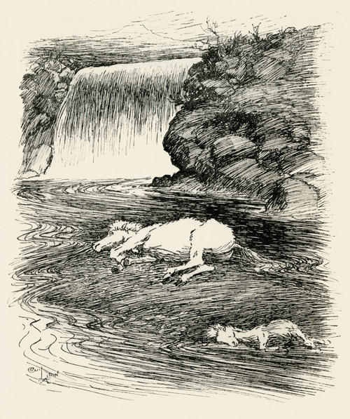 Illustration By Cecil Aldin  The Wild Horses Of Iceland Poster Print By Mary Evans Picture Library - Item # VARMEL10982181