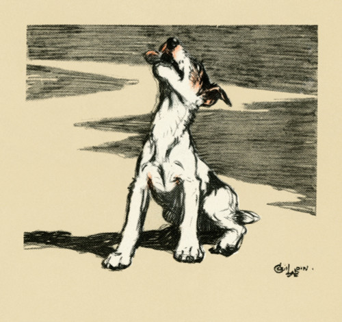 Illustration By Cecil Aldin  Puppy Howling Poster Print By Mary Evans Picture Library - Item # VARMEL10980231
